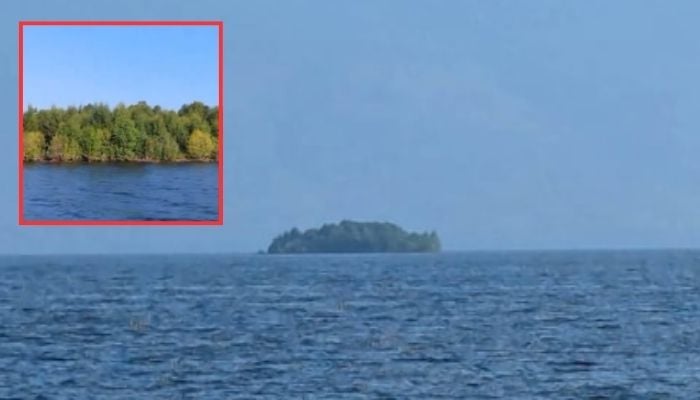 Floating forest island appears in British Columbia reservoir then vanishes: What’s behind the mystery?