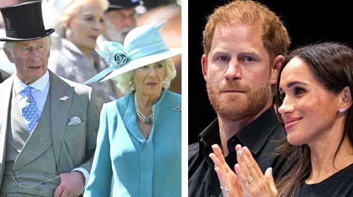 King Charles, Prince Harry's rift takes new turn as Queen Camilla steps in 