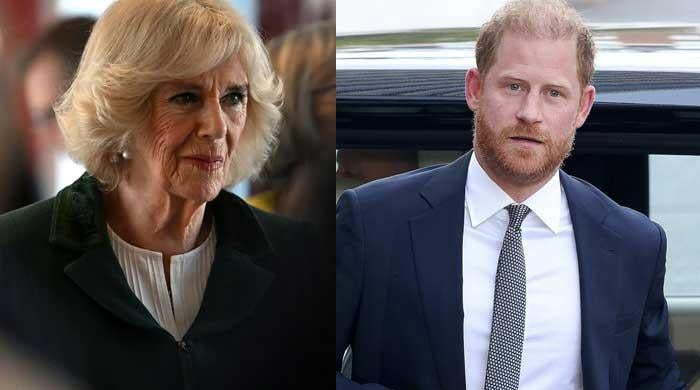 Queen Camilla not 'demanding apology' from Prince Harry: Here's why