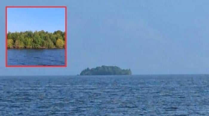 Floating forest island appears in British Columbia reservoir then vanishes: What’s behind the mystery? 