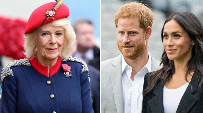 Why Queen Camilla backs King Charles reconciliation with Prince Harry despite past tensions?