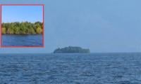 Floating forest island appears in British Columbia reservoir then vanishes: What’s behind the mystery?