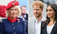 Why Queen Camilla backs King Charles reconciliation with Prince Harry despite past tensions?