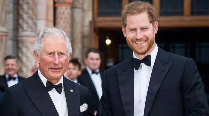 King Charles warned as Prince Harry could prove 'dangerous' for royal family