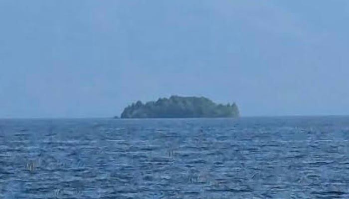 Mysterious floating island bigger than football field reappears in BC lake