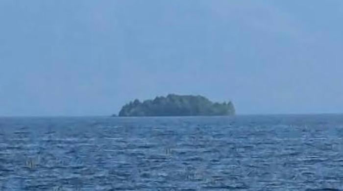 Mysterious floating island bigger than football field reappears in BC lake