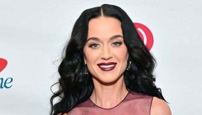 Katy Perry’s little one becomes her co-pilot
