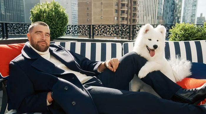 Travis Kelce gushes over his 'model dog' Wendy after Tommy Hilfiger campaign