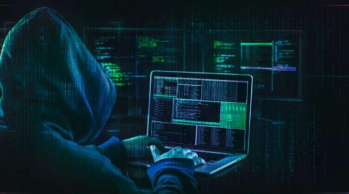 153 million driver's licenses are for sale on dark web: Check details here