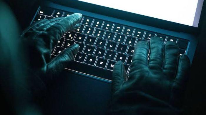 Berlin reportedly launches crisis response after hackers publish stolen data
