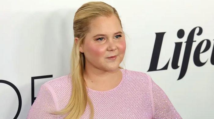 Amy Schumer reveals why simple day with son meant so much amid Chris Fischer split