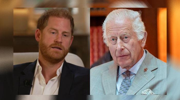 ‘Radioactive’ Prince Harry handed rock hard bashing: ‘You can't think you're not damaging trust’