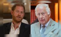 ‘Radioactive’ Prince Harry handed rock hard bashing: ‘You can't think you're not damaging trust’
