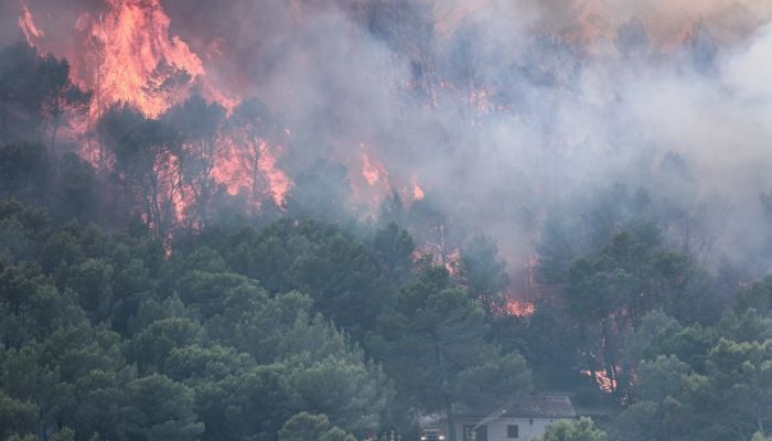Wildfires and heat waves threaten global air quality, UN weather agency warns