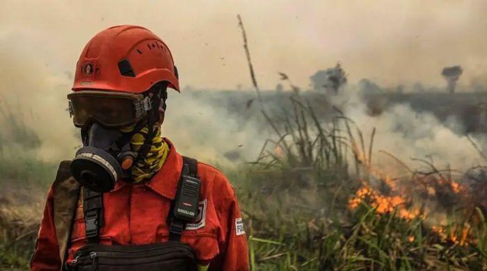 Wildfires and heat waves threaten global air quality, UN weather agency warns