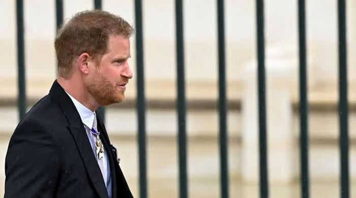 Prince Harry given wakeup call: ‘Enough has to be enough’