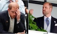 ‘Difficult to swallow’: Prince Harry dissected after major ‘irony’ gets unearthed