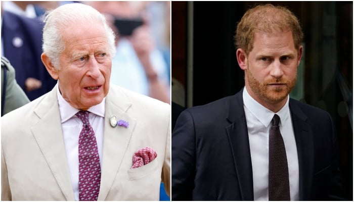 Prince Harry issues a statement in response to King Charles’ private citizen comment