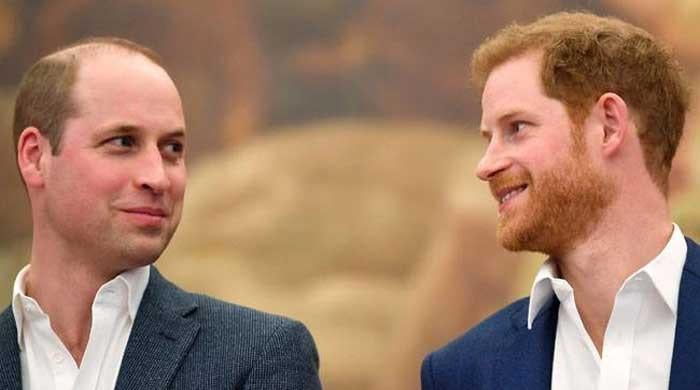 Prince William scores 'brutal victory' in ongoing rift with Prince Harry 