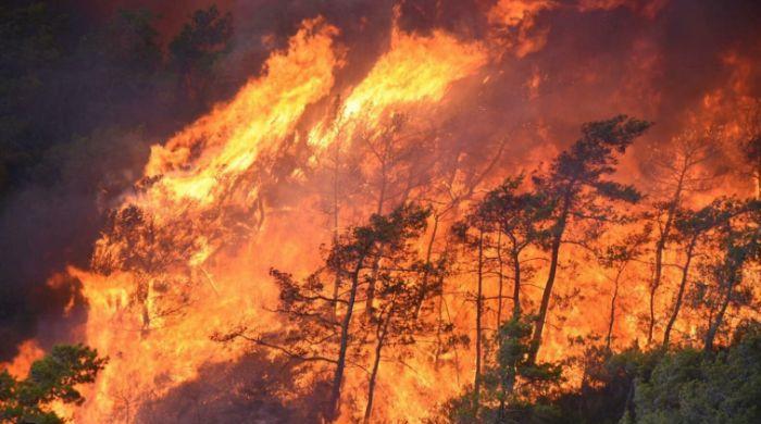 Fast-moving wildfire threatens homes in Turkey's Antalya province, authorities warn