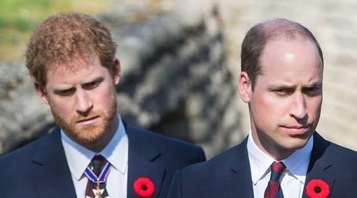 Prince William turns 'furious' as Harry's secret palace ties emerge