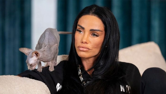 Katie Price reveals why she now resembles hamster