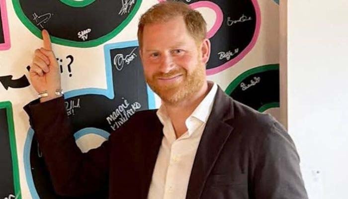 Prince Harry sparks career switch after royal setback