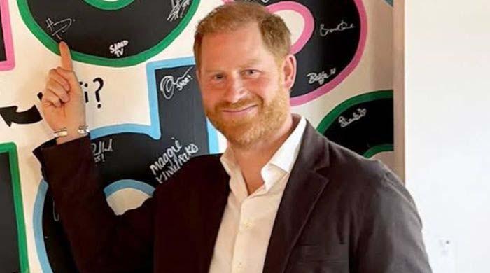 Prince Harry sparks career switch after royal setback