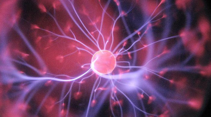Bacteria can remember without brain, new study finds