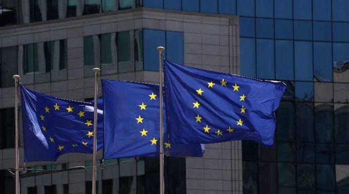 EU watchdog sounds alarm over risk of abrupt market correction