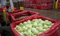 Cyclosporiasis outbreak: US officially ends largest outbreak linked to contaminated lettuce 