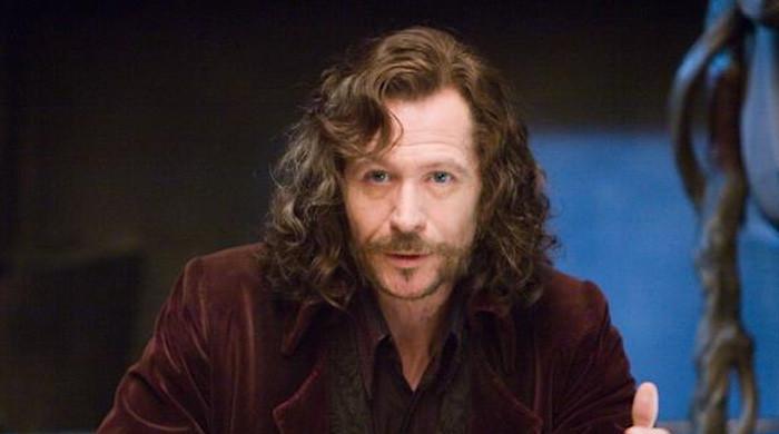 Gary Oldman makes clear prediction about new 'Harry Potter' show while comparing it to film series