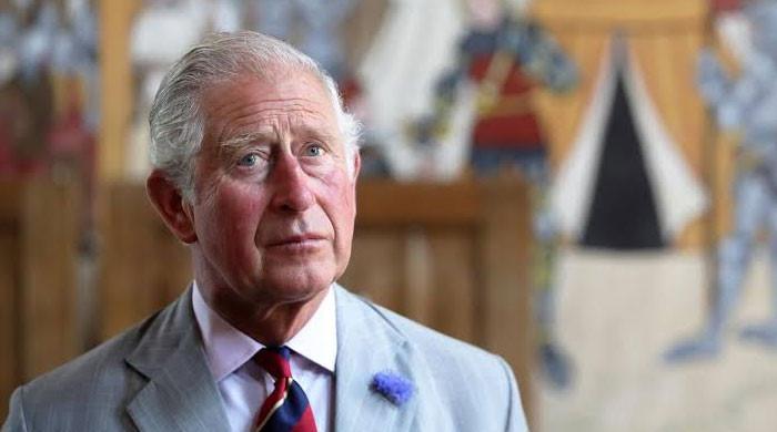 King Charles health update: 'Still extremely fragile due to illness'