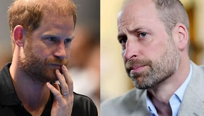 Prince William wasnt convinced Prince Harry and Meghans return would be peaceful