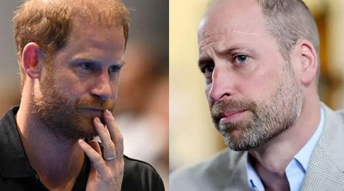 Prince William wasn't convinced Prince Harry and Meghan's return would be peaceful
