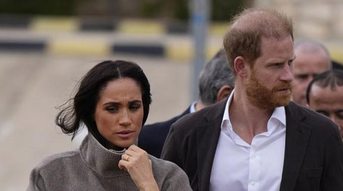 Meghan Markle, Prince Harry get beaten 'like a rented mule'