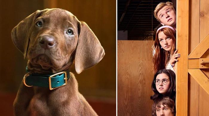 Netflix makes 'Scooby-Doo' history with first real Great Dane in new show