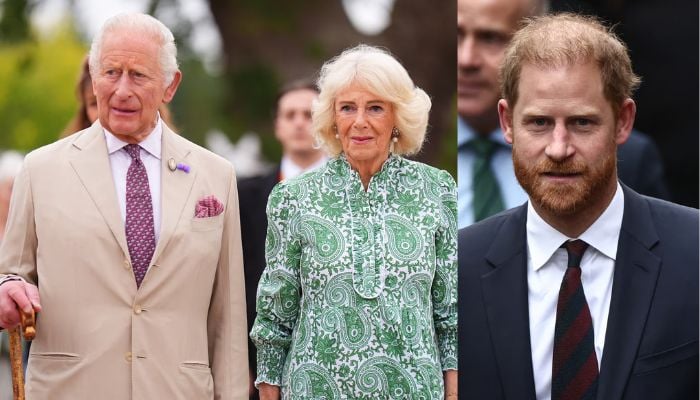 Queen Camilla issues dangerous ultimatum to King Charles after Prince Harrys return