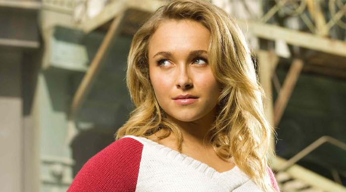 Hayden Panettiere boyfriend, Brian Hickerson arrested after altercation