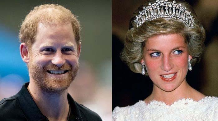 Prince Harry’s fresh Diana move sparks ‘intense frustration’