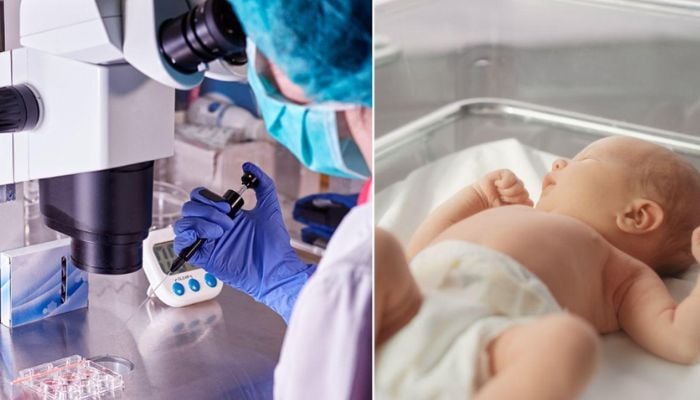 Study reveals why some babies are born with heart defects