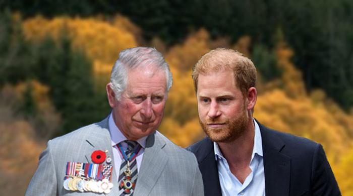 Prince Harry shoots himself in the foot: ‘Constantly impacting the entire family’