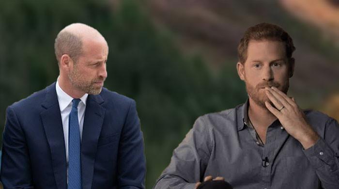 Prince William takes away huge hope from Prince Harry
