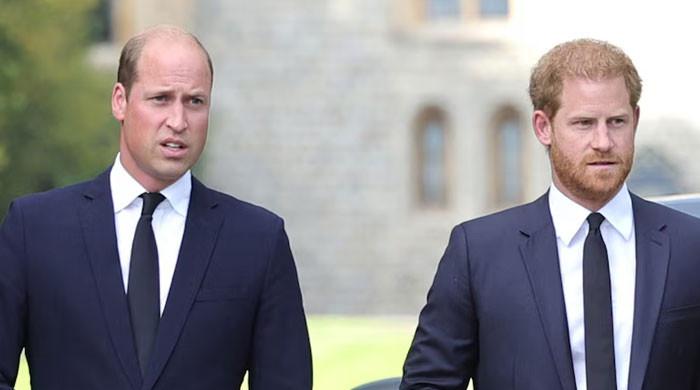 Prince William 'done' with Prince Harry amid Sussex's school drama?