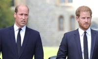 Prince William 'done' with Prince Harry amid Sussex's school drama?