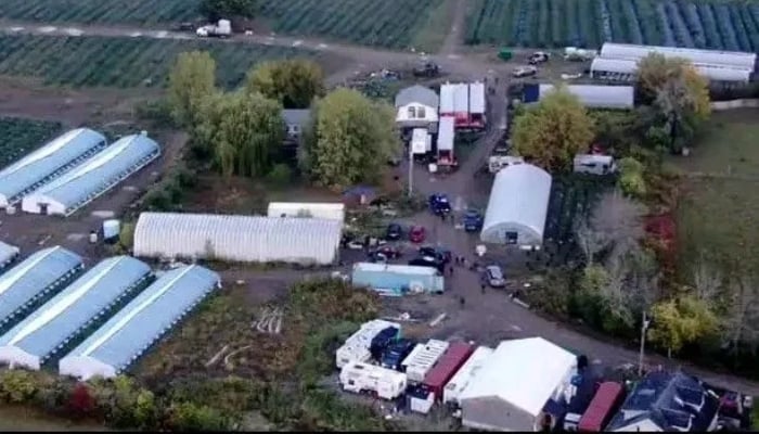 Eight charged after police dismantle massive illicit cannabis grow operation in Ontario