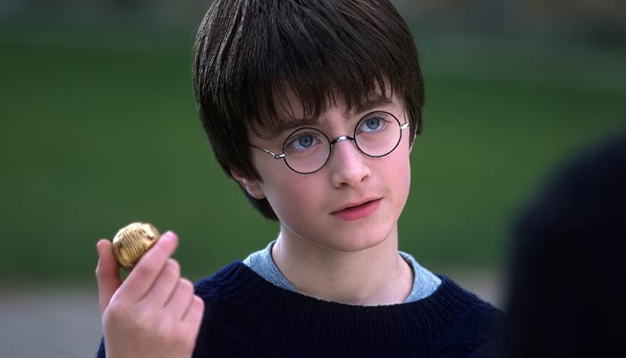 British actor blows Harry Potter role chance despite nepo dad efforts