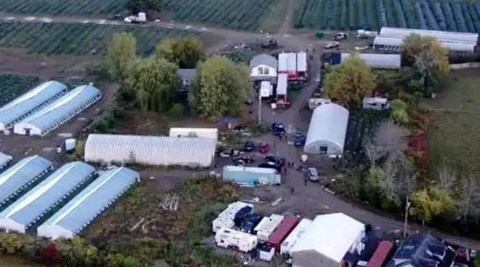 Eight charged after police dismantle massive illicit cannabis grow operation in Ontario