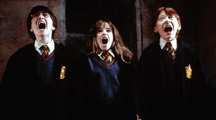 British actor blows Harry Potter role chance despite 'nepo dad' efforts  