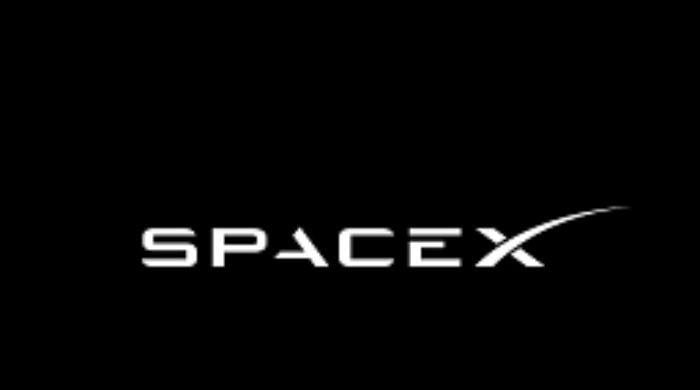 SpaceX turns to failed startups for AI training: Here’s why